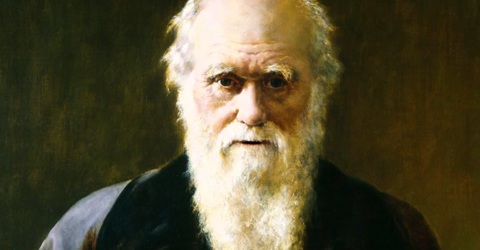 Darwin cover