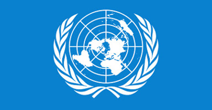 Organizzazione delle Nazioni Unite o ONU cover